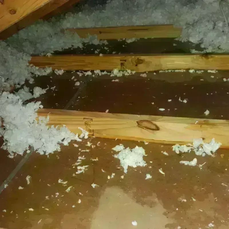 Attic Water Damage in Winters, TX