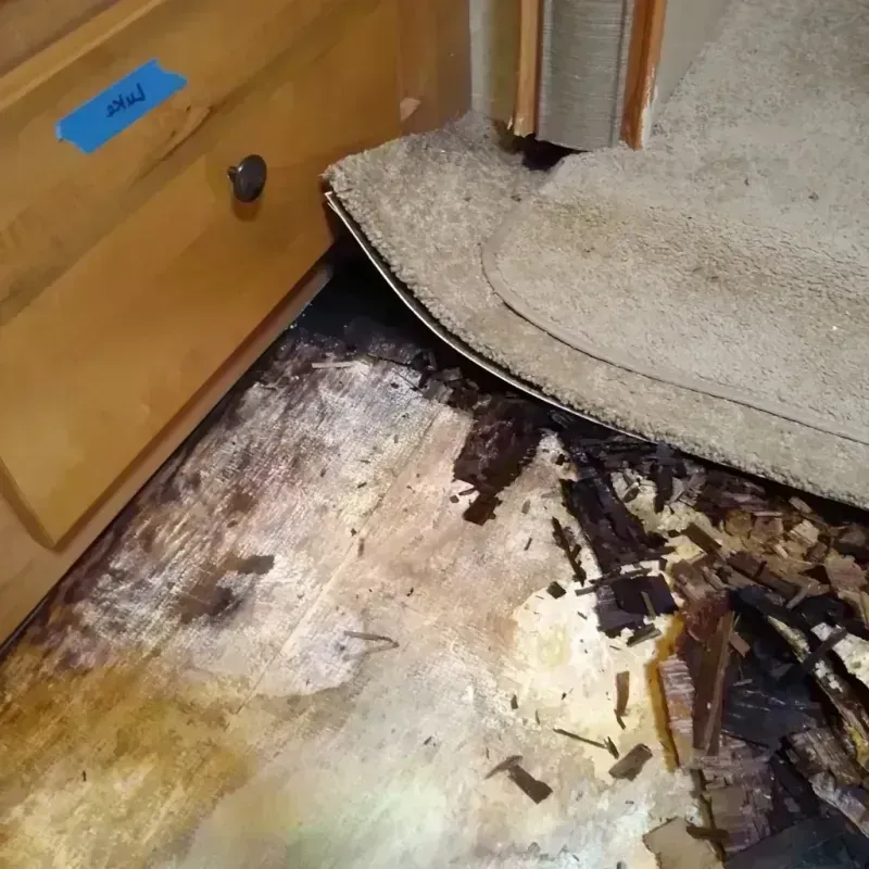 Wood Floor Water Damage in Winters, TX